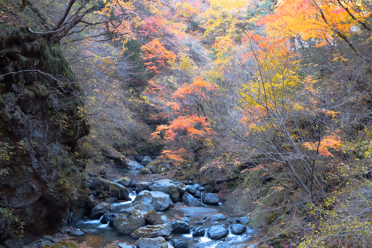 投稿写真：大柳川渓谷