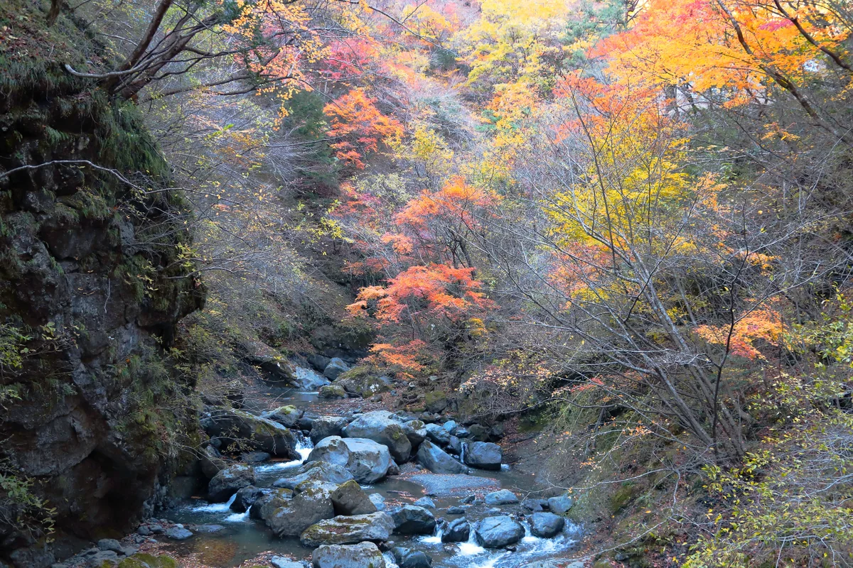 投稿写真：大柳川渓谷