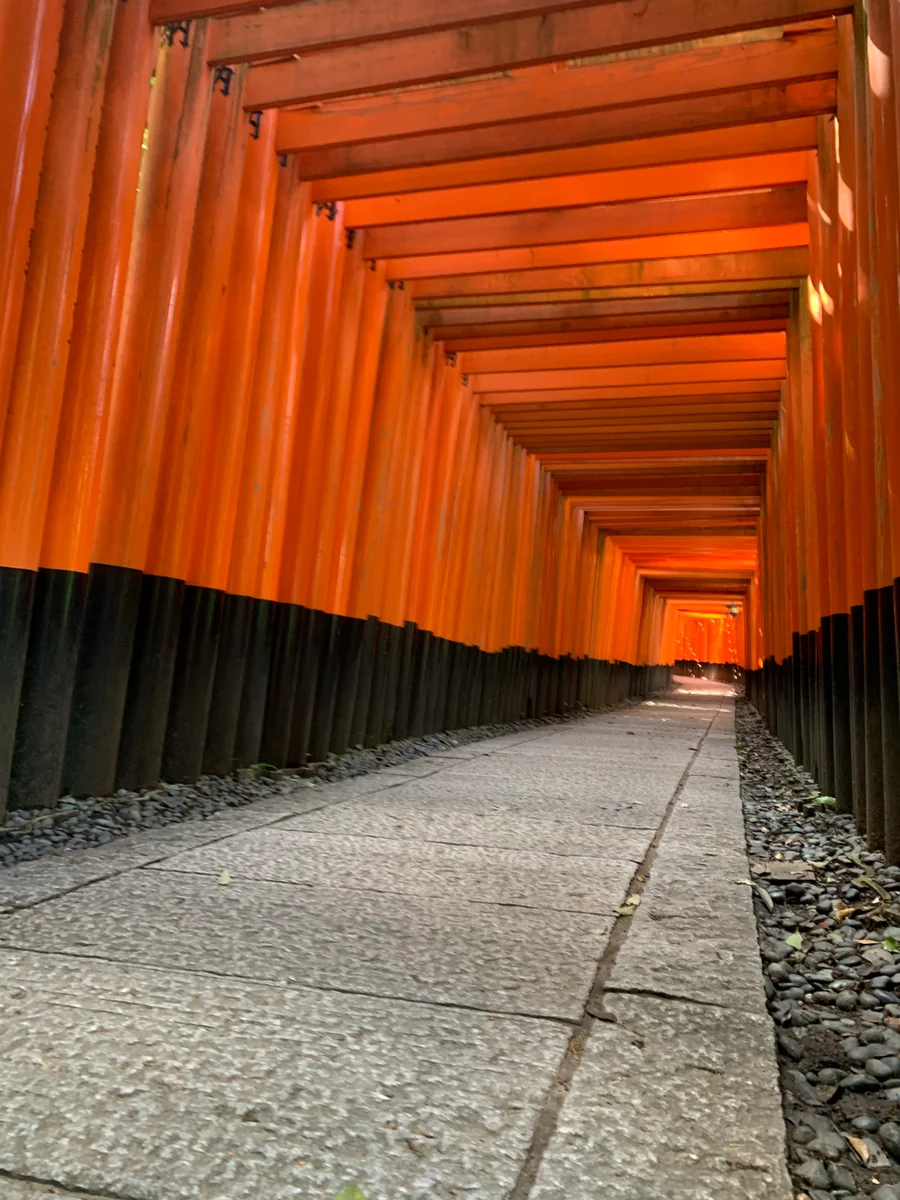 投稿写真：伏見稲荷
