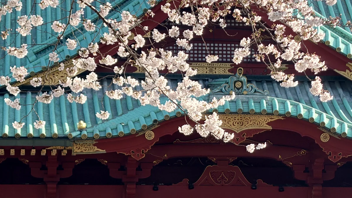 投稿写真：神田明神