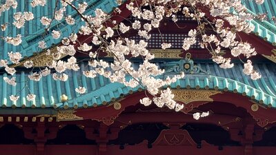  | 絶景事典