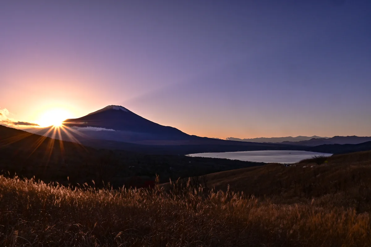 投稿写真：晩秋の輝き