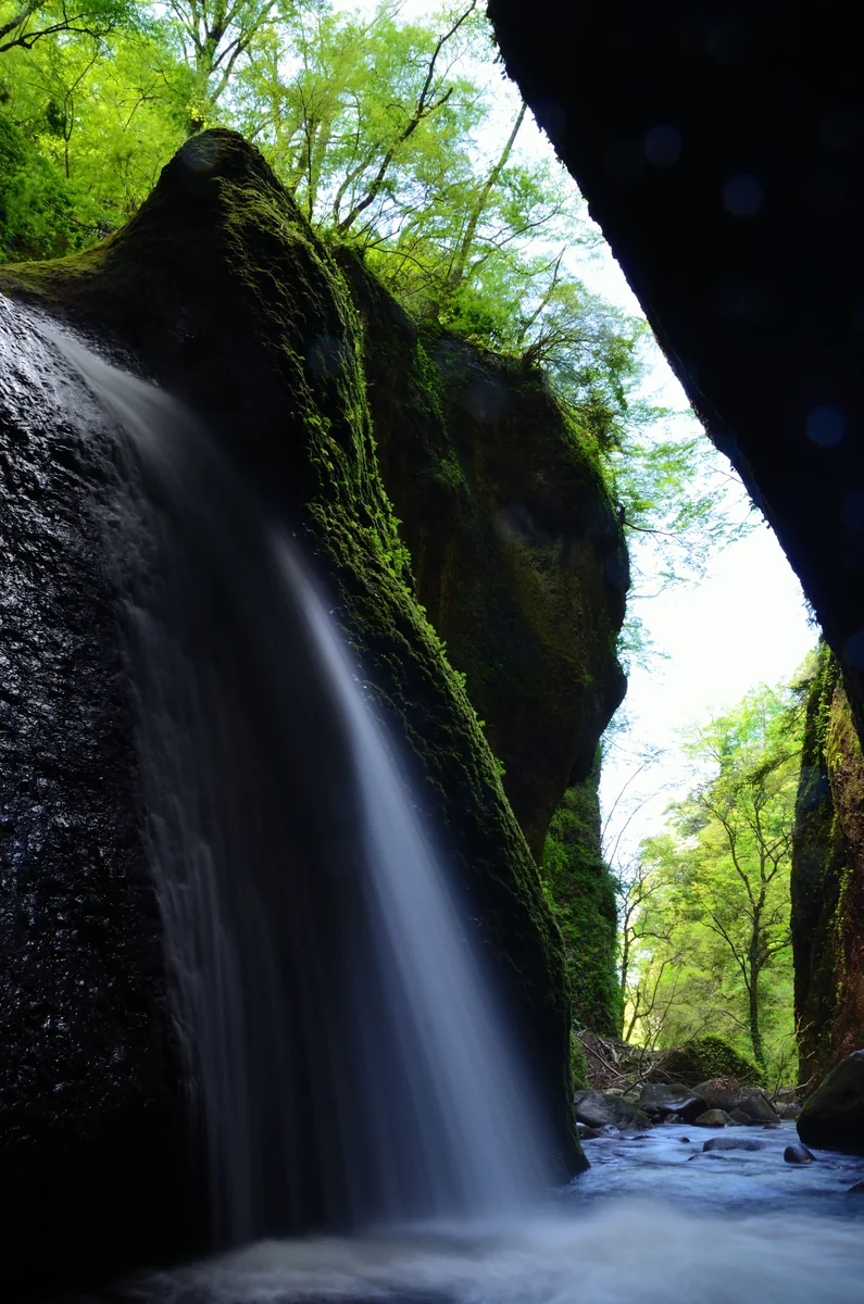 投稿写真：シワガラの滝