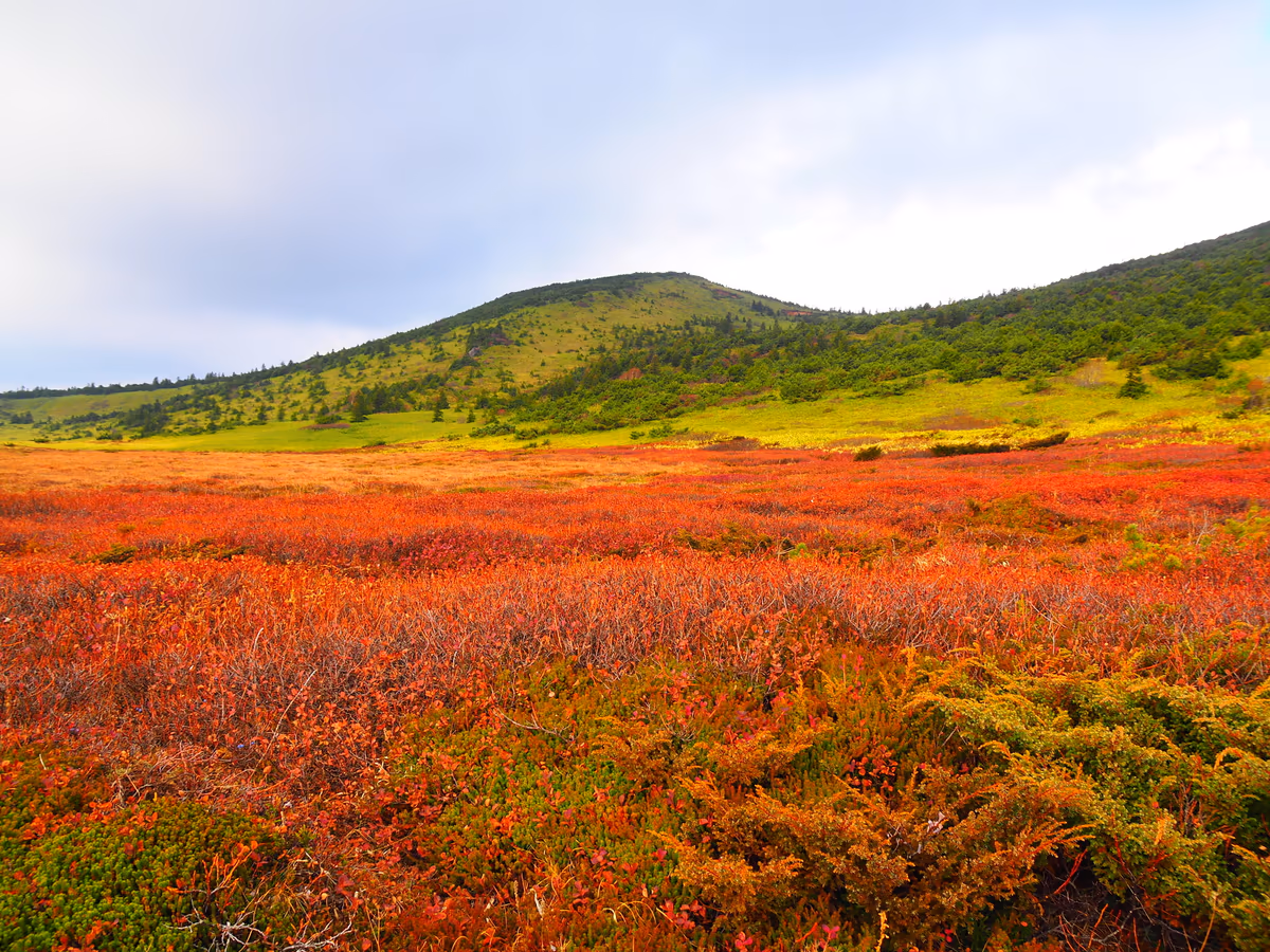 投稿写真：草紅葉の一切経山