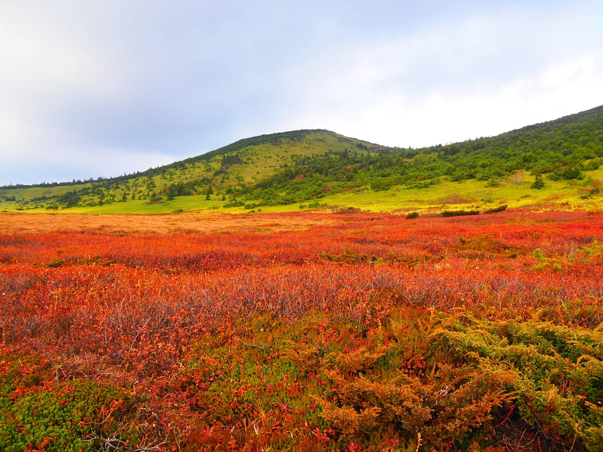 投稿写真：草紅葉の一切経山