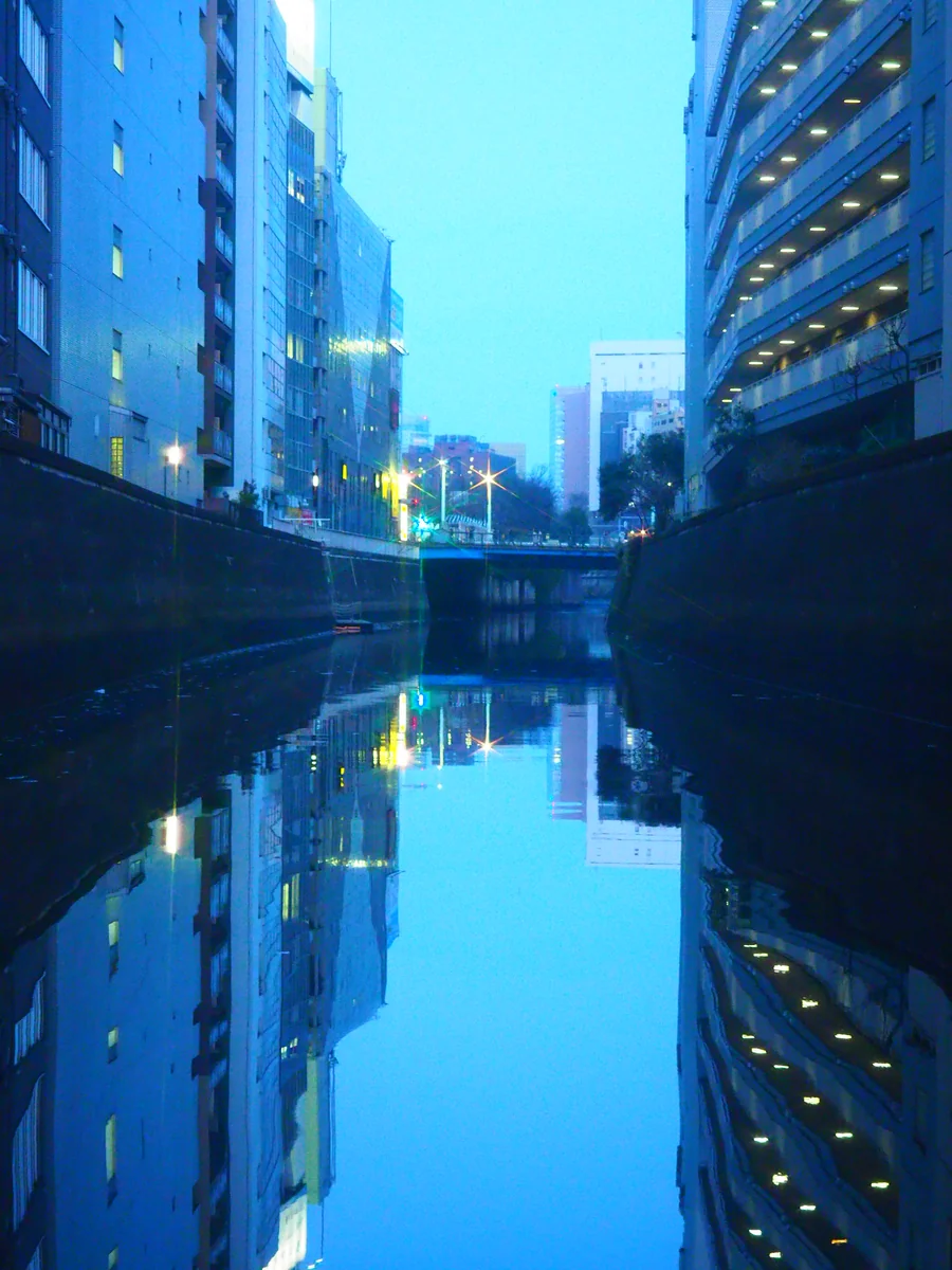 投稿写真：神田川リフレクション