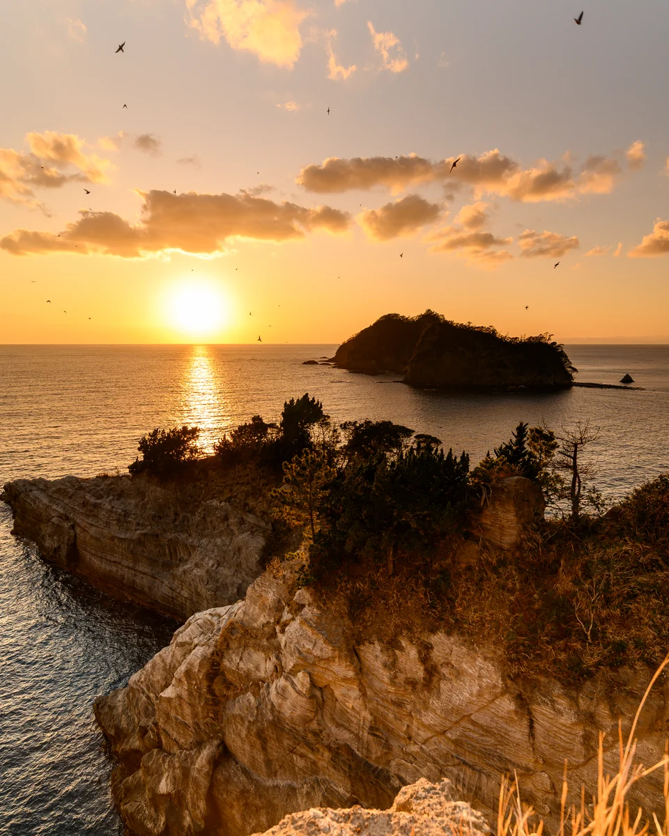 投稿写真：陽 ノ 光