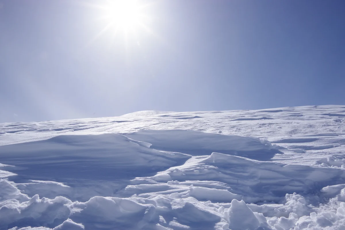 投稿写真：シュカブラ❄☃