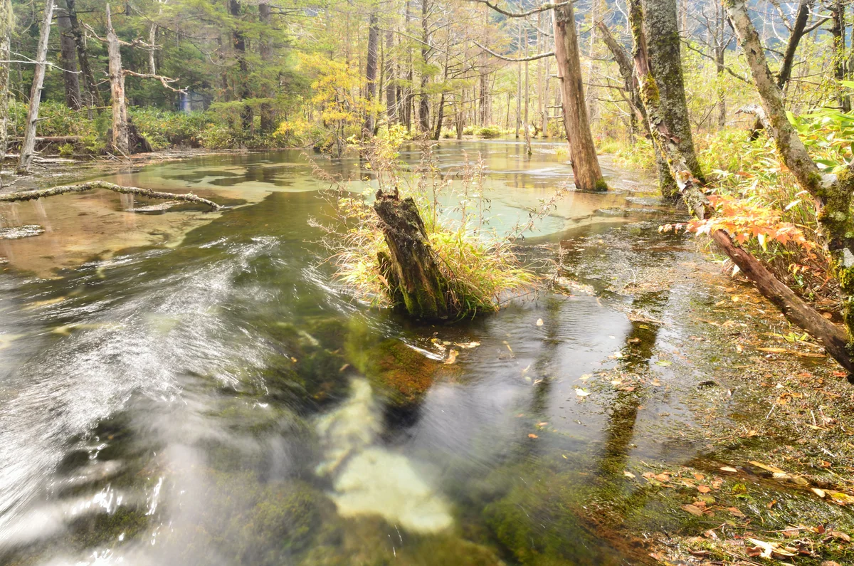 投稿写真：上高地　秋の流れ
