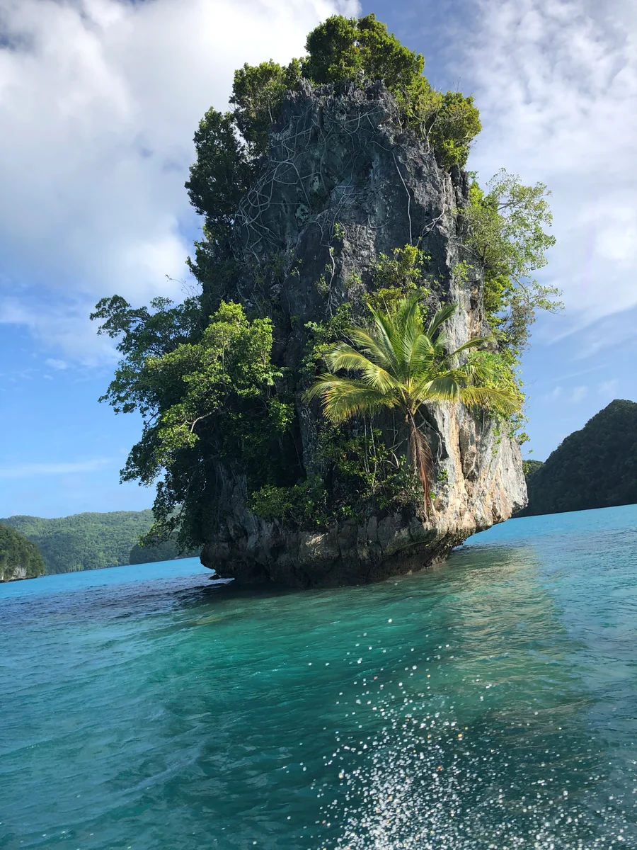 投稿写真：パラオ