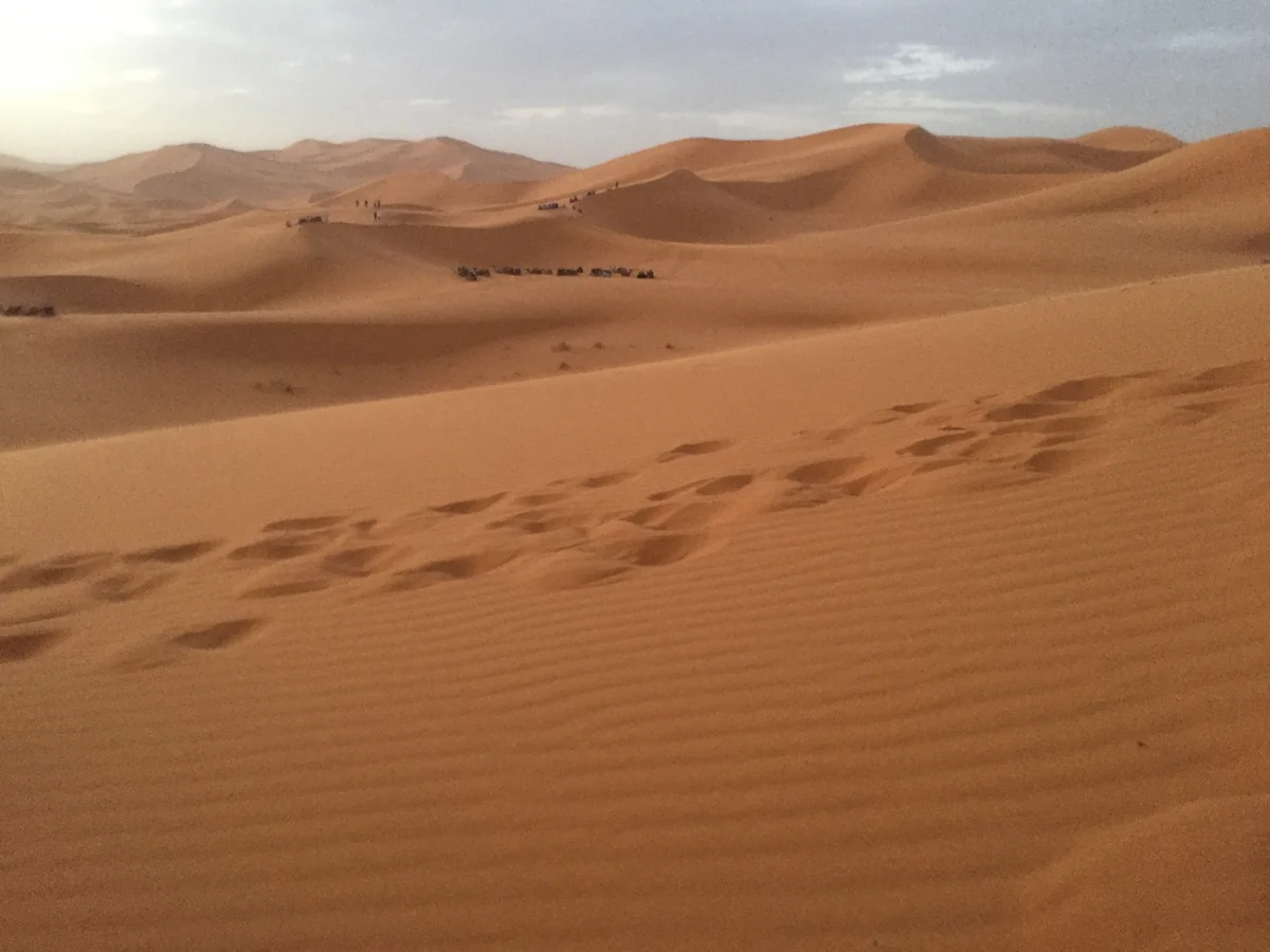 投稿写真：サハラ砂漠