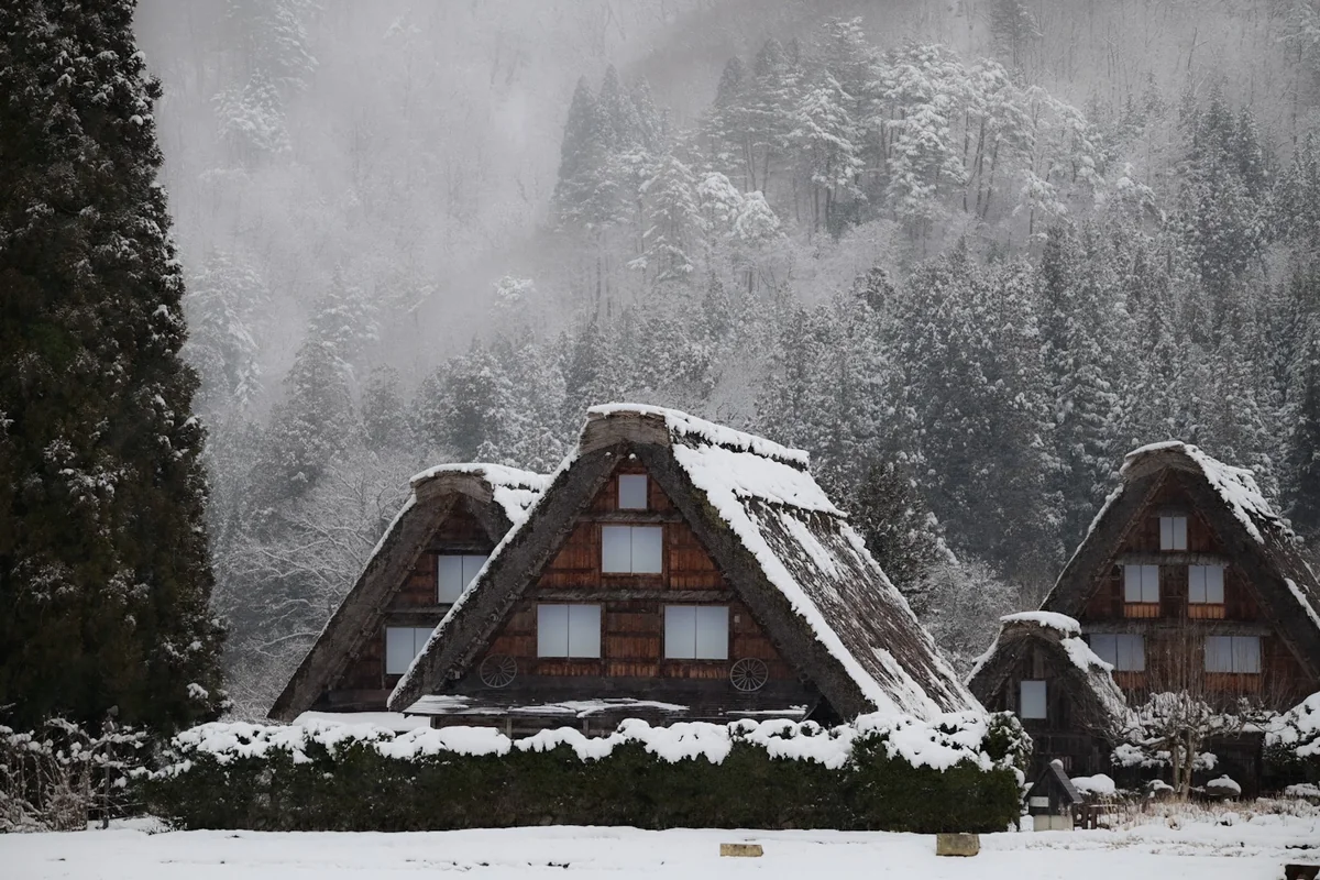 投稿写真：やっと