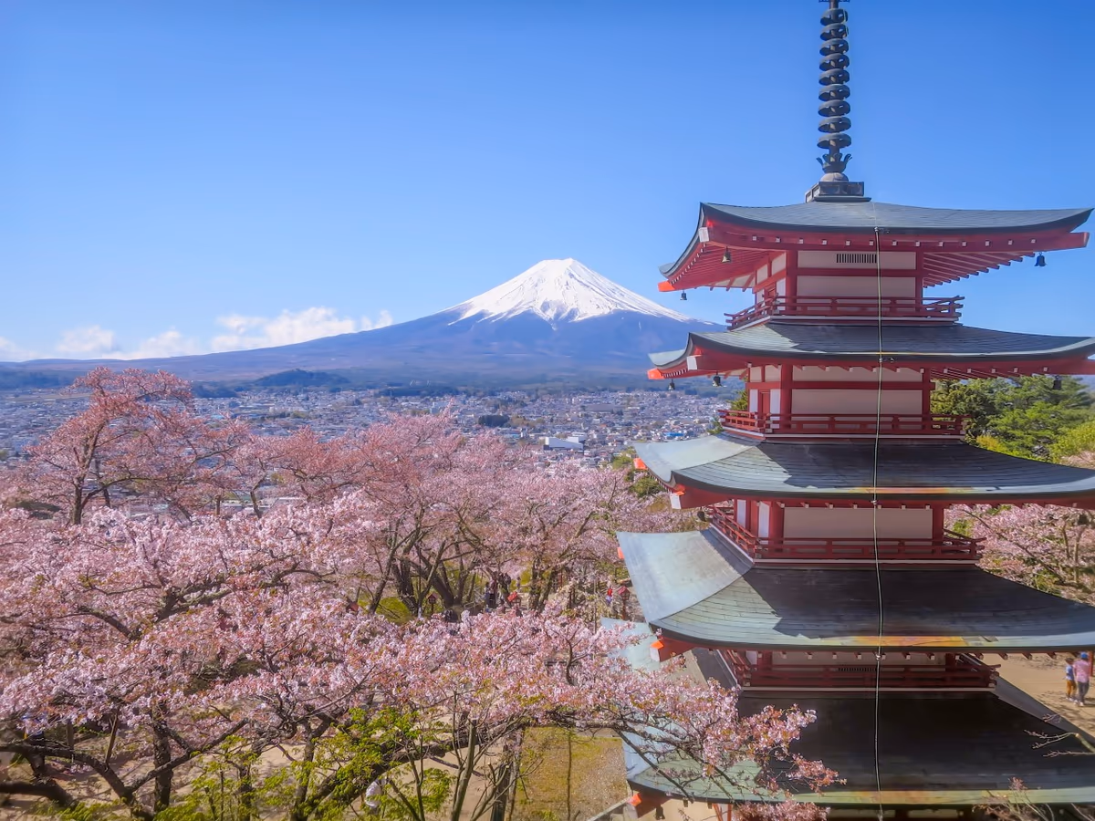 投稿写真：桜と五重塔と富士山