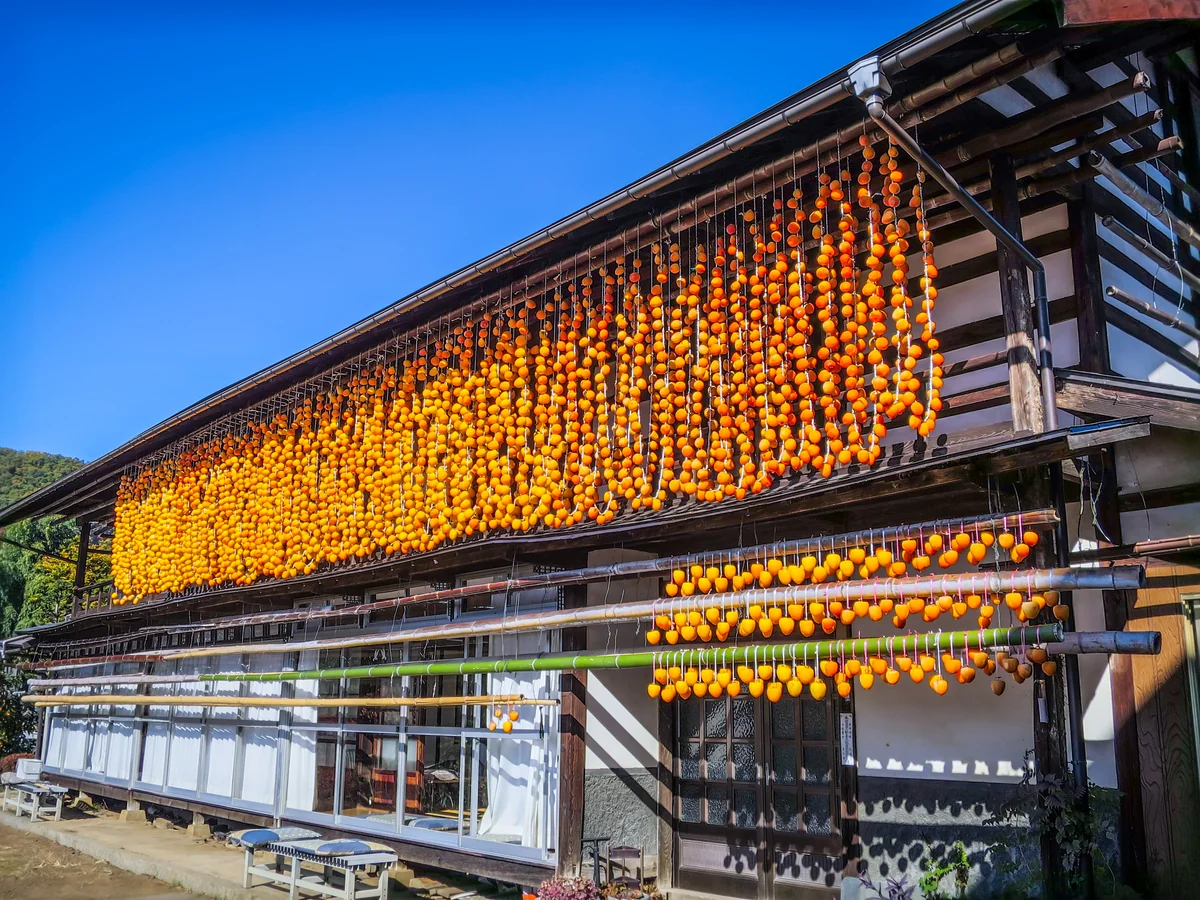 投稿写真：干し柿