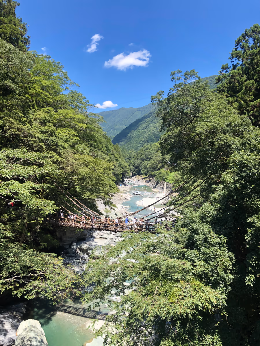 投稿写真：祖谷かずら橋