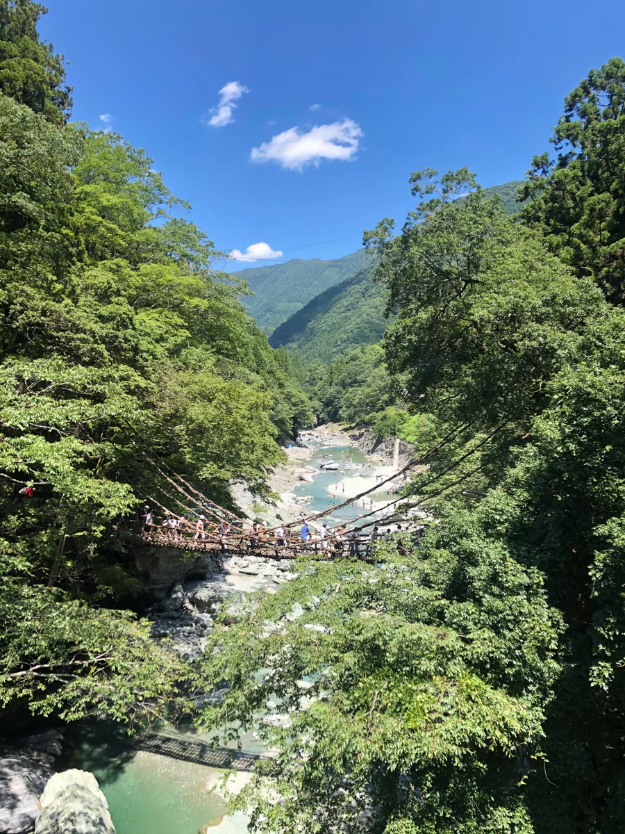 投稿写真：祖谷かずら橋