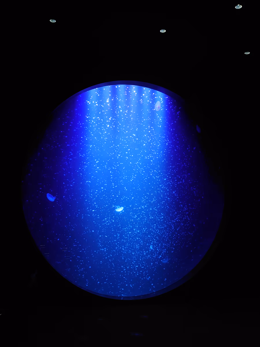 投稿写真：加茂水族館
