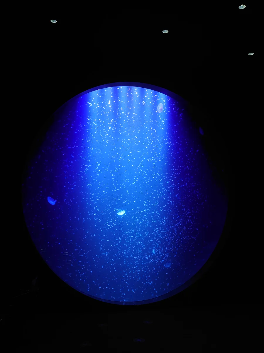 投稿写真：加茂水族館