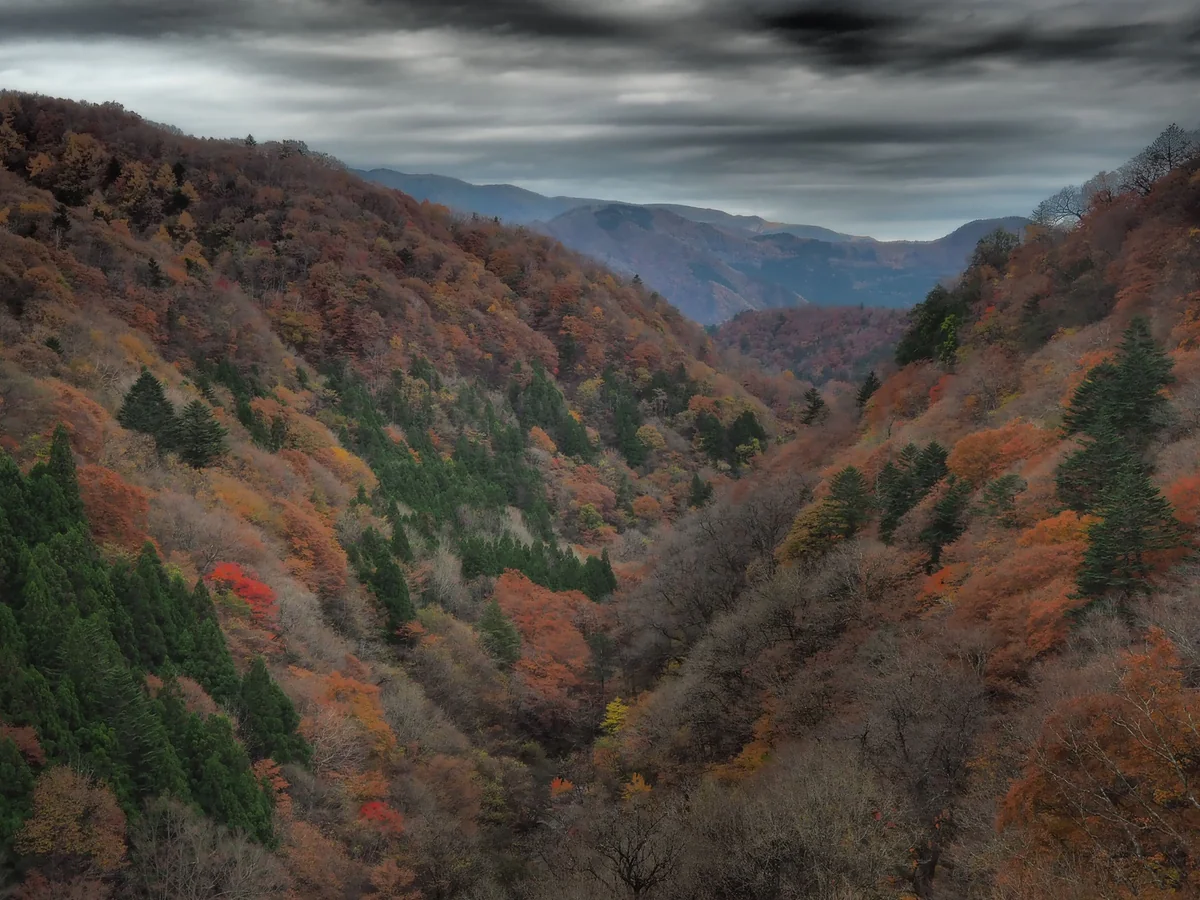 投稿写真：無限の秋色