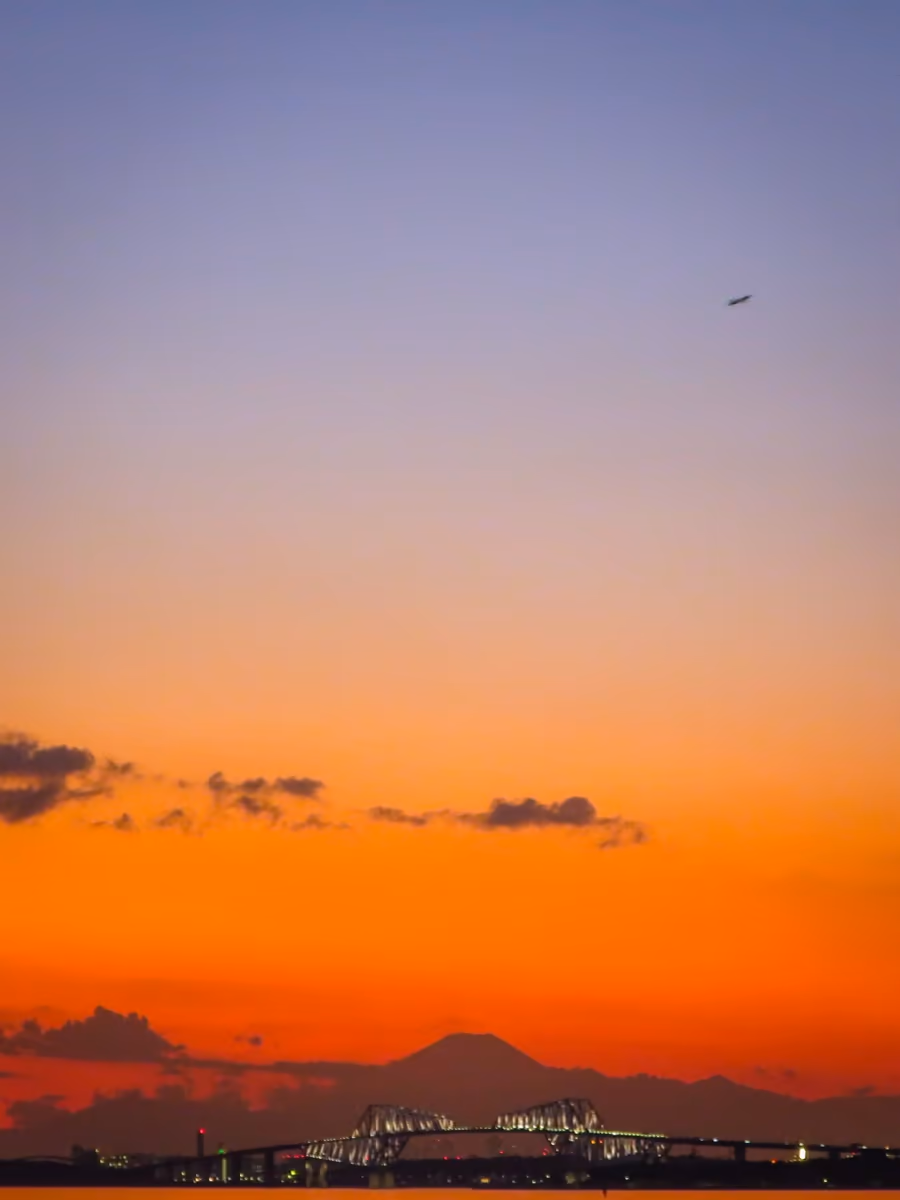 投稿写真：ライトアップされたゲートブリッジと夕富士と離陸機