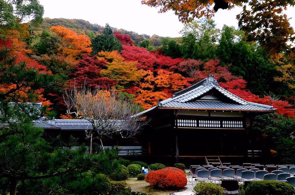 投稿：一乗寺＠京都