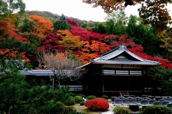 投稿：一乗寺＠京都