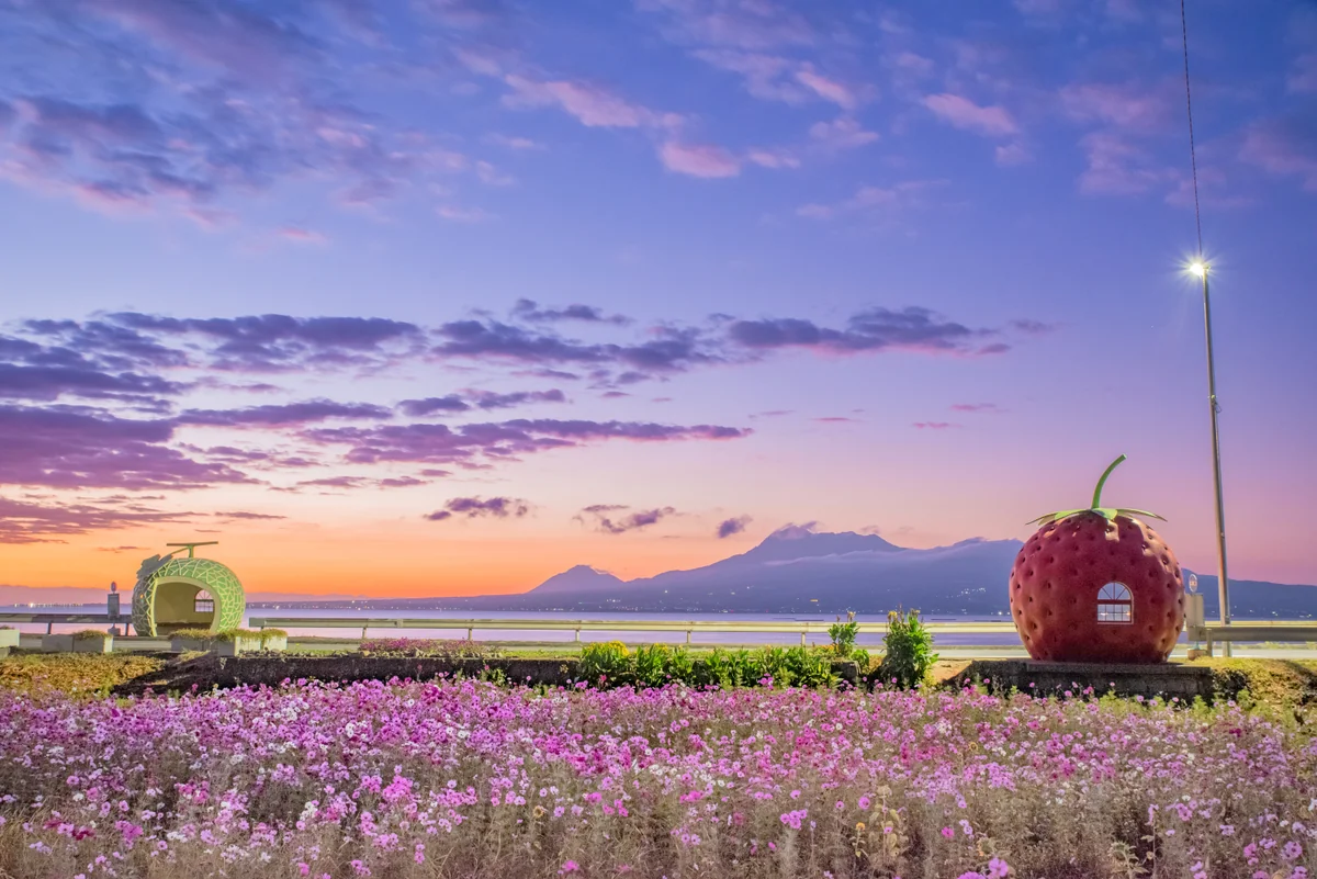 投稿写真：フルーツバス停