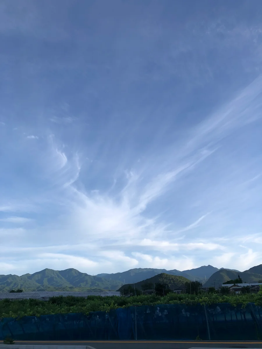 投稿写真：夏の朝の空