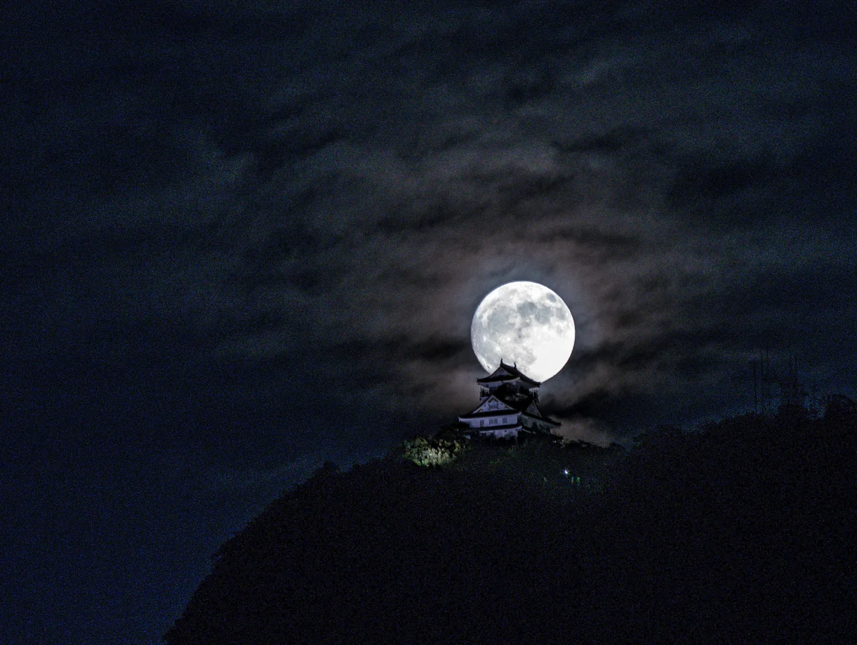 投稿写真：岐阜城