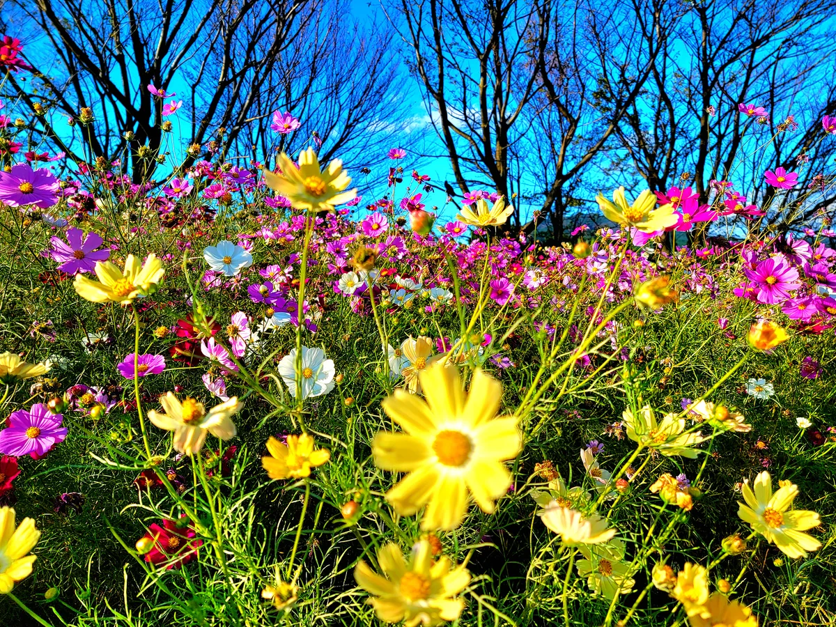 千夏さんの投稿写真
