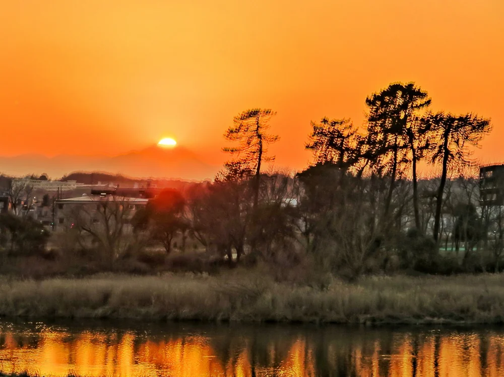 投稿写真：松とダイヤモンド富士