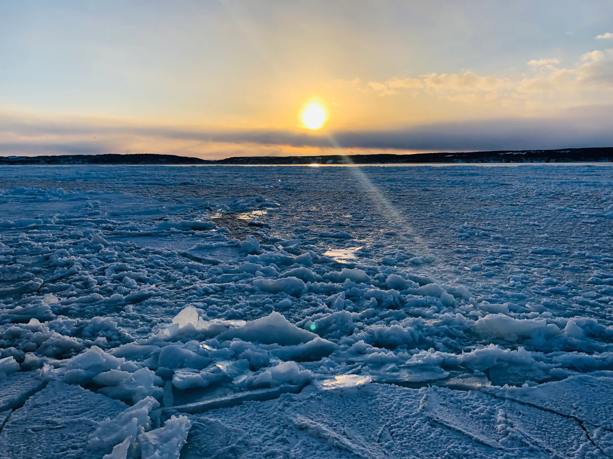 Buchan1957さんの投稿写真