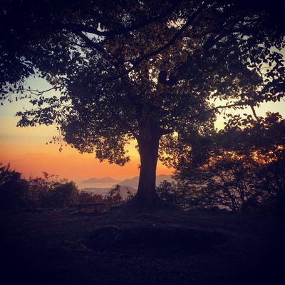  | 絶景事典