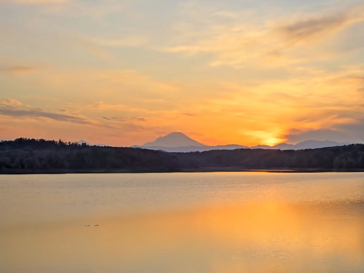 投稿写真：夕富士