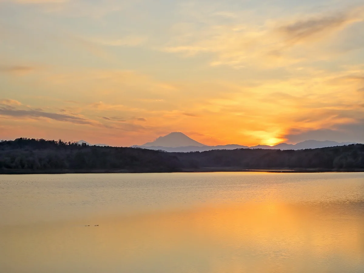 投稿写真：夕富士