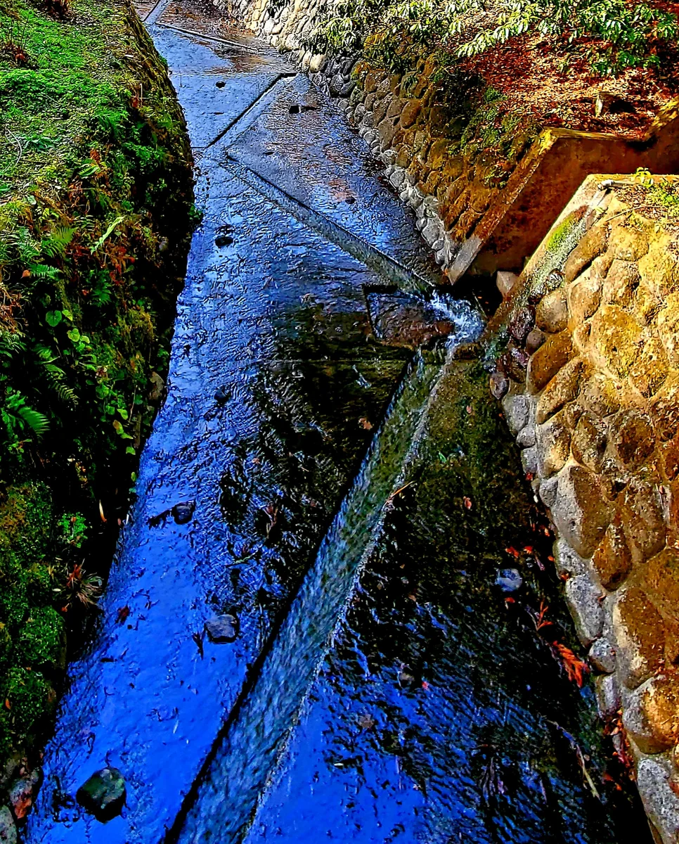 投稿写真：国造神社に流れる川