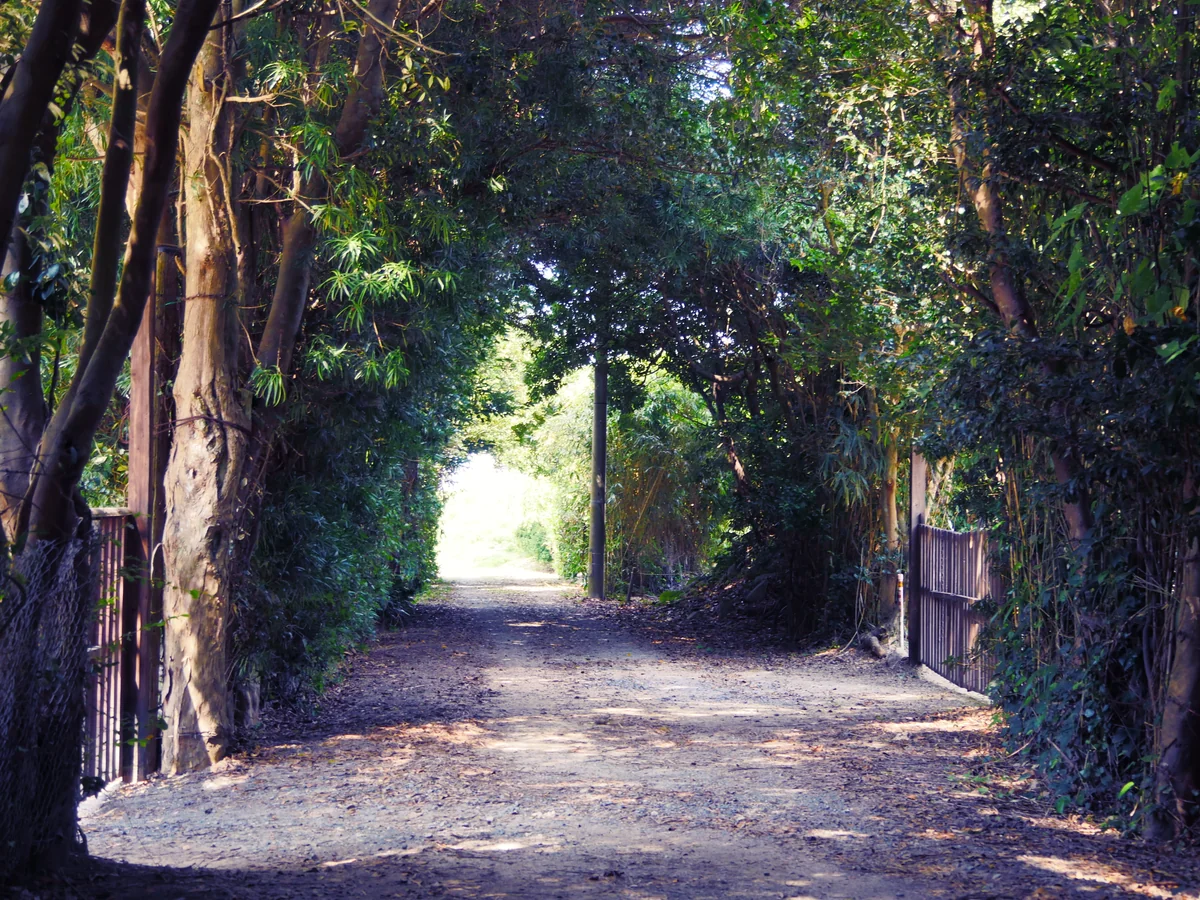 投稿写真：萩城跡