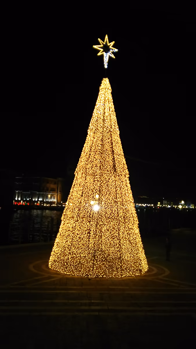 投稿写真：クリスマスツリー