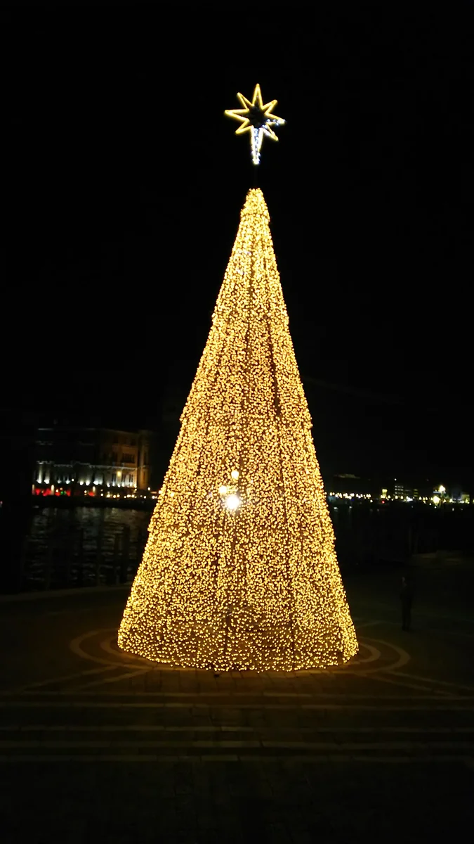 投稿写真：クリスマスツリー