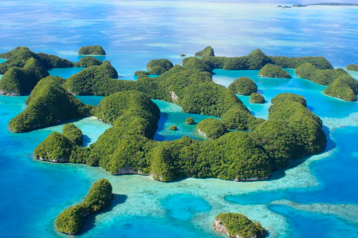 投稿写真：空から