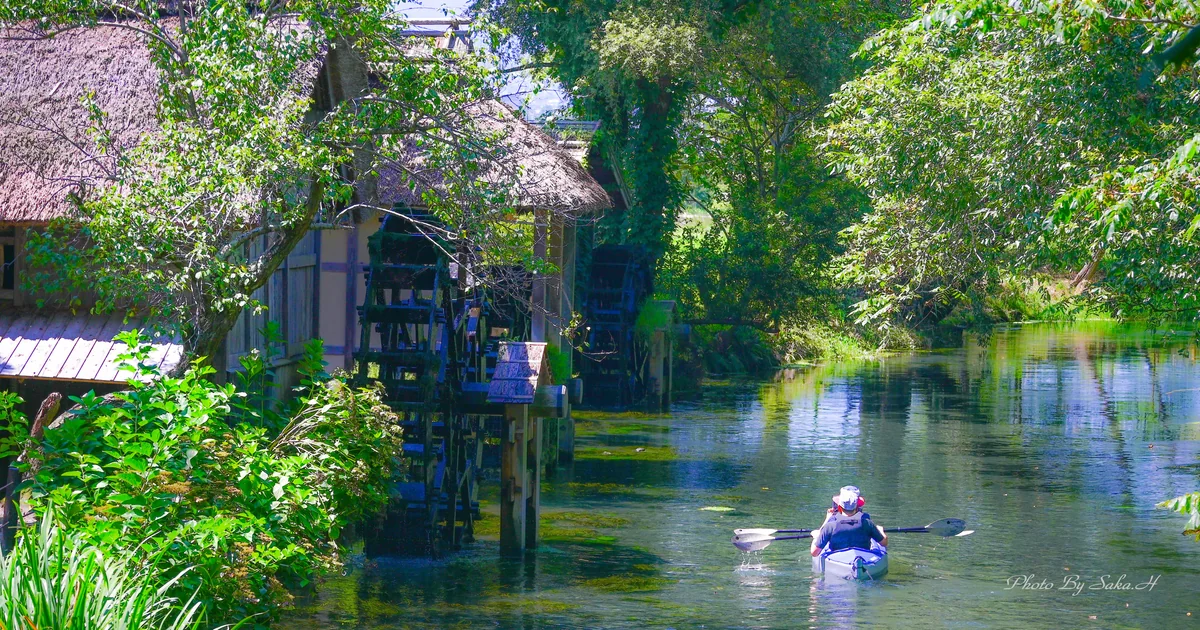 投稿写真：清流
