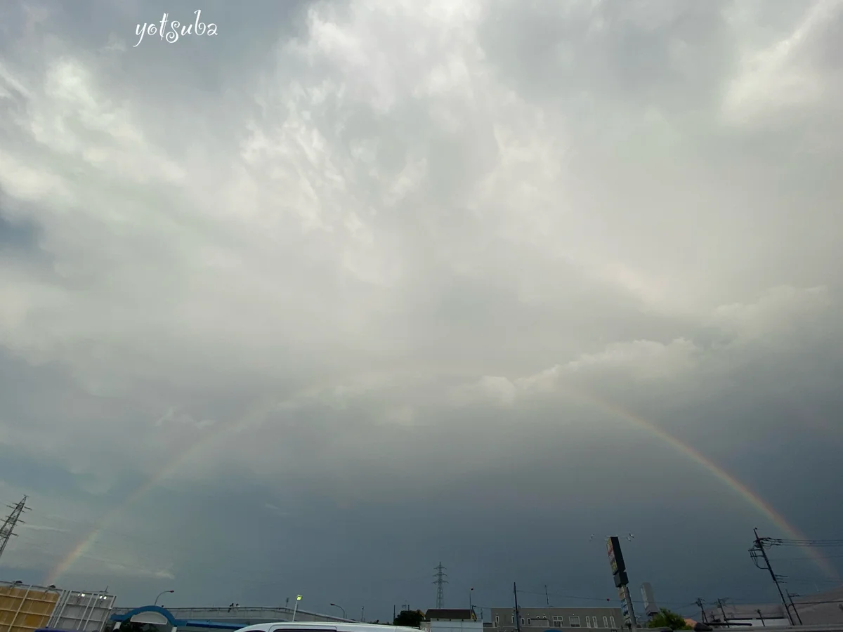 投稿写真：虹