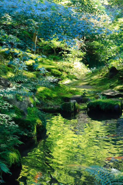 投稿：瑠璃光院　臥龍の庭