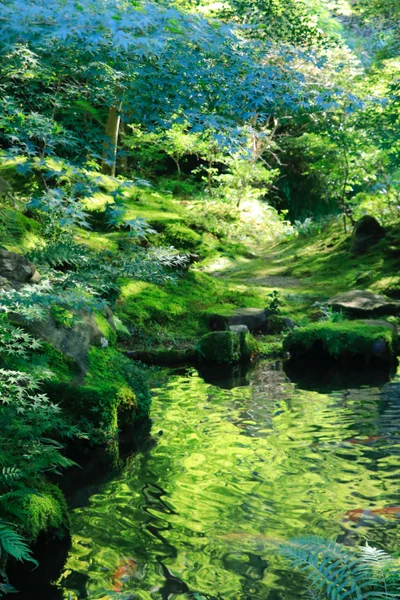 投稿：瑠璃光院　臥龍の庭