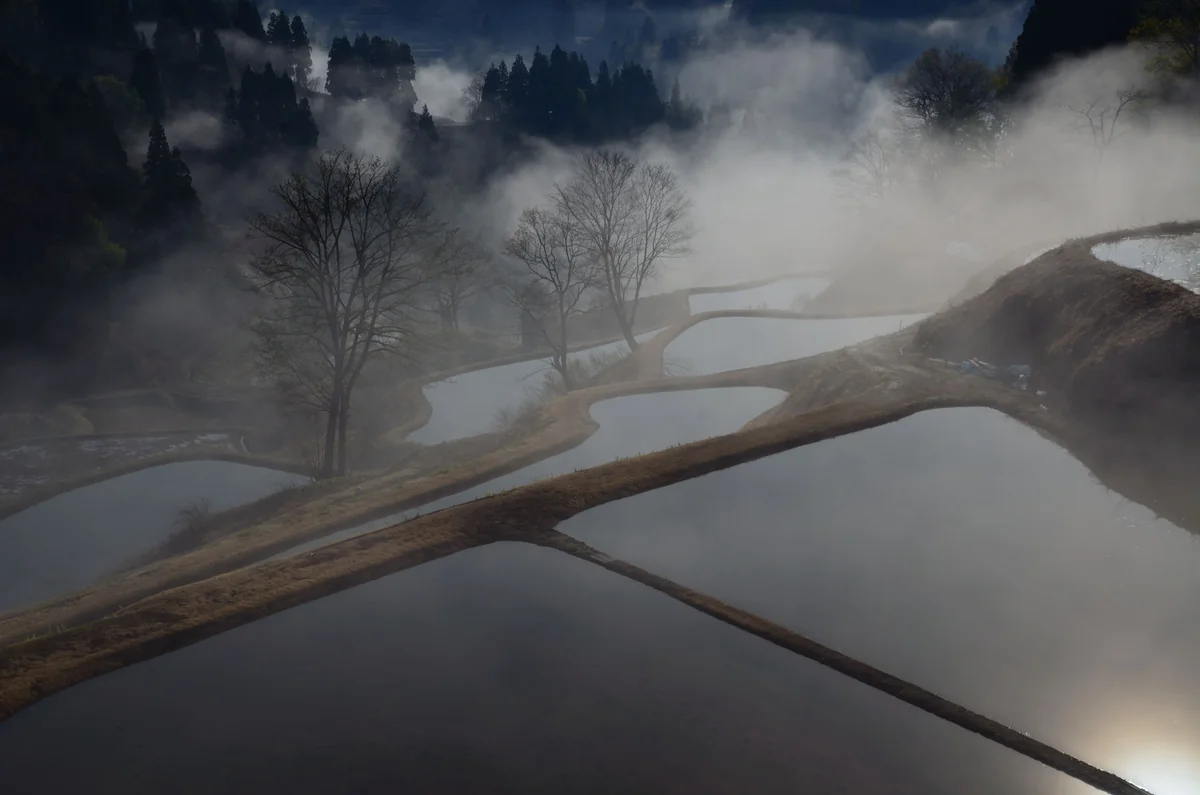 投稿写真：蒲生の棚田