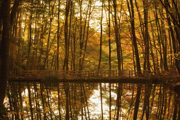 投稿：初秋の色に染まり・・・
