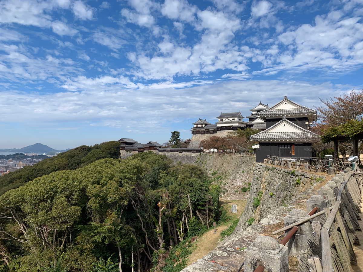 投稿写真：松山城