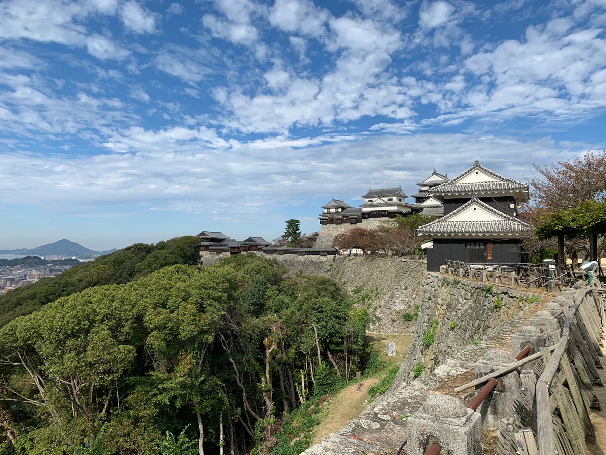 投稿写真：松山城