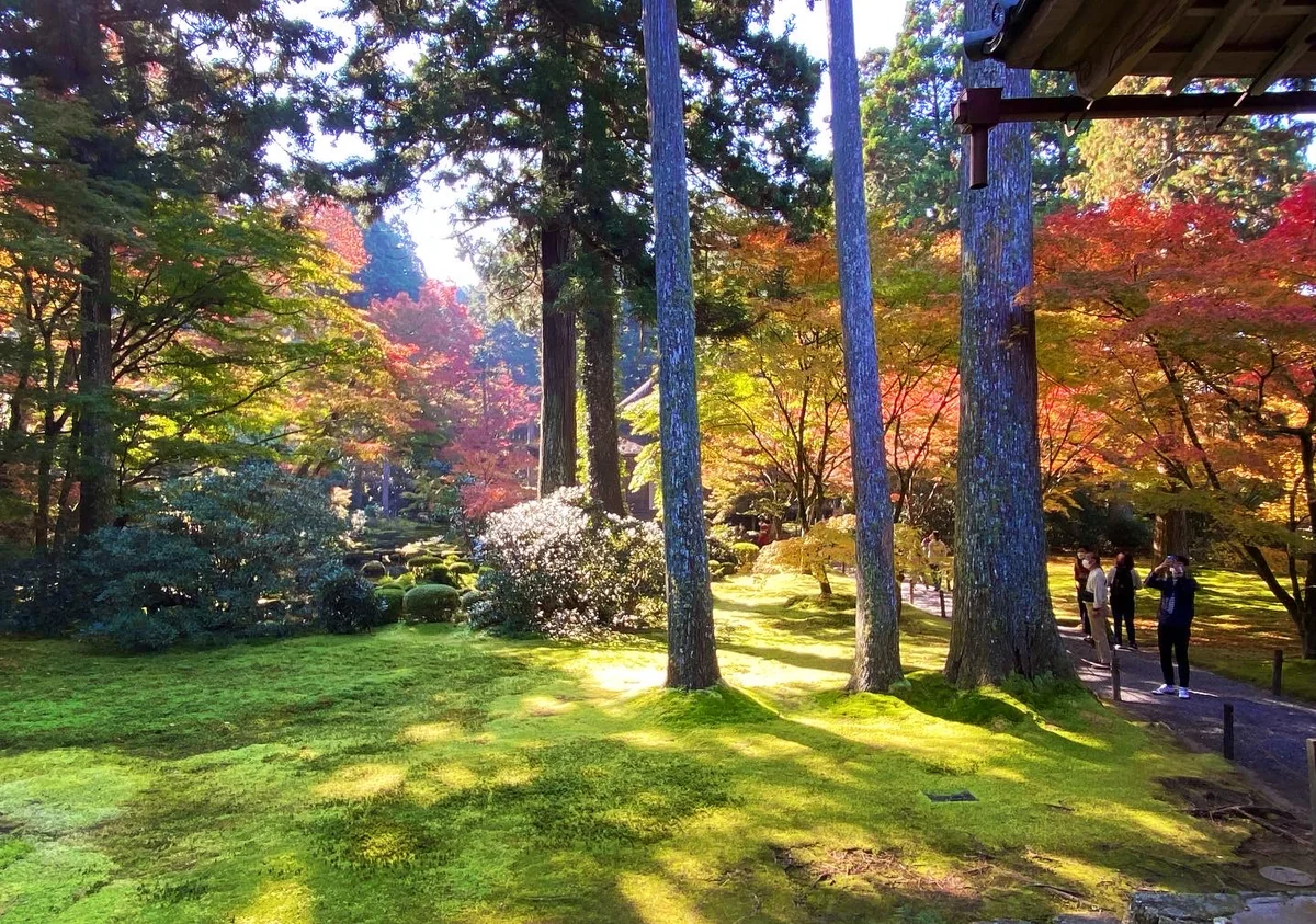 投稿写真：京都 大原三千院門跡 宸殿から見た有清園