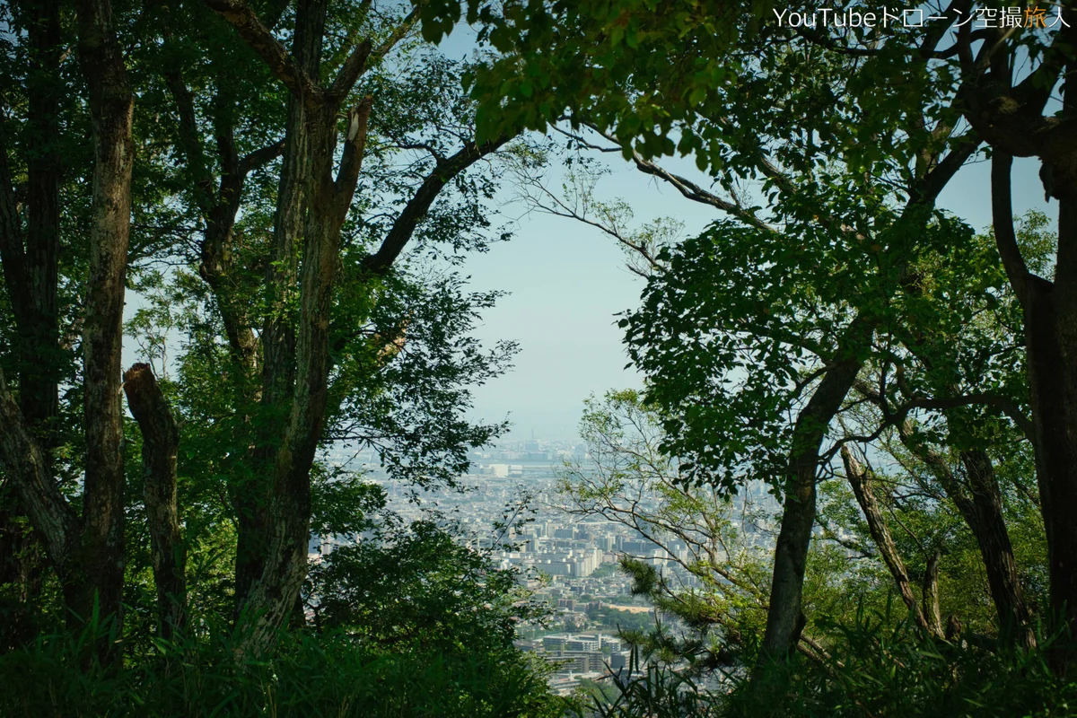 投稿写真：甲山(かぶとやま)の頂上風景